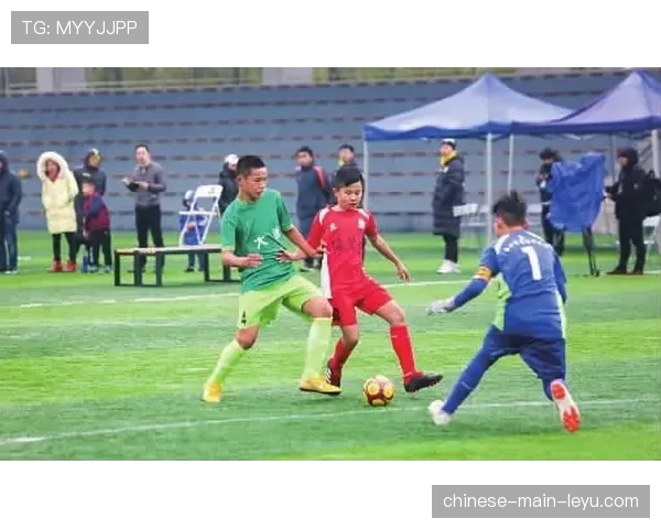 “法国足协启动‘草根足球振兴计划’，2026年将增建百座球场”